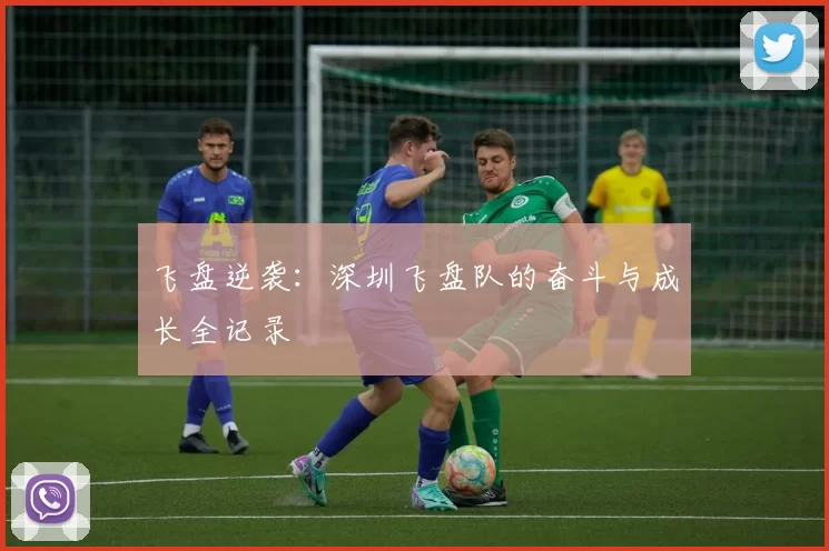飞盘逆袭：深圳飞盘队的奋斗与成长全记录