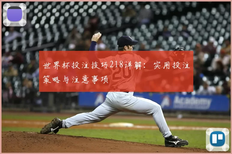 世界杯投注技巧218详解:实用投注策略与注意事项