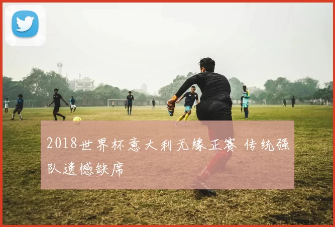 2018世界杯意大利无缘正赛 传统强队遗憾缺席