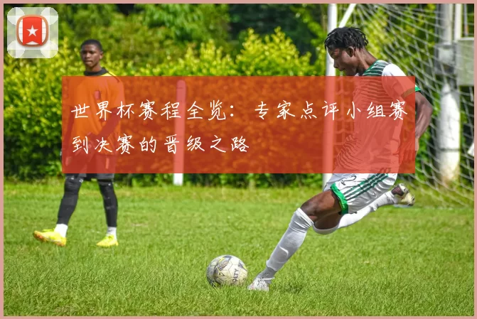世界杯赛程全览:专家点评小组赛到决赛的晋级之路