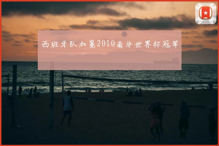 西班牙队加冕2010南非世界杯冠军