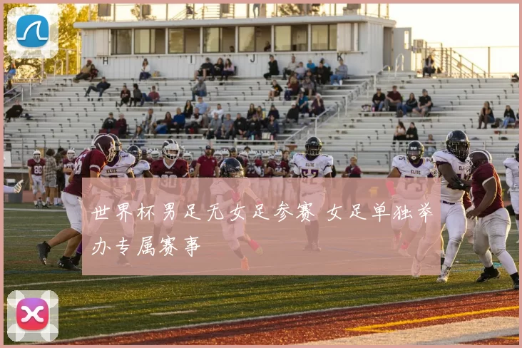 世界杯男足无女足参赛 女足单独举办专属赛事
